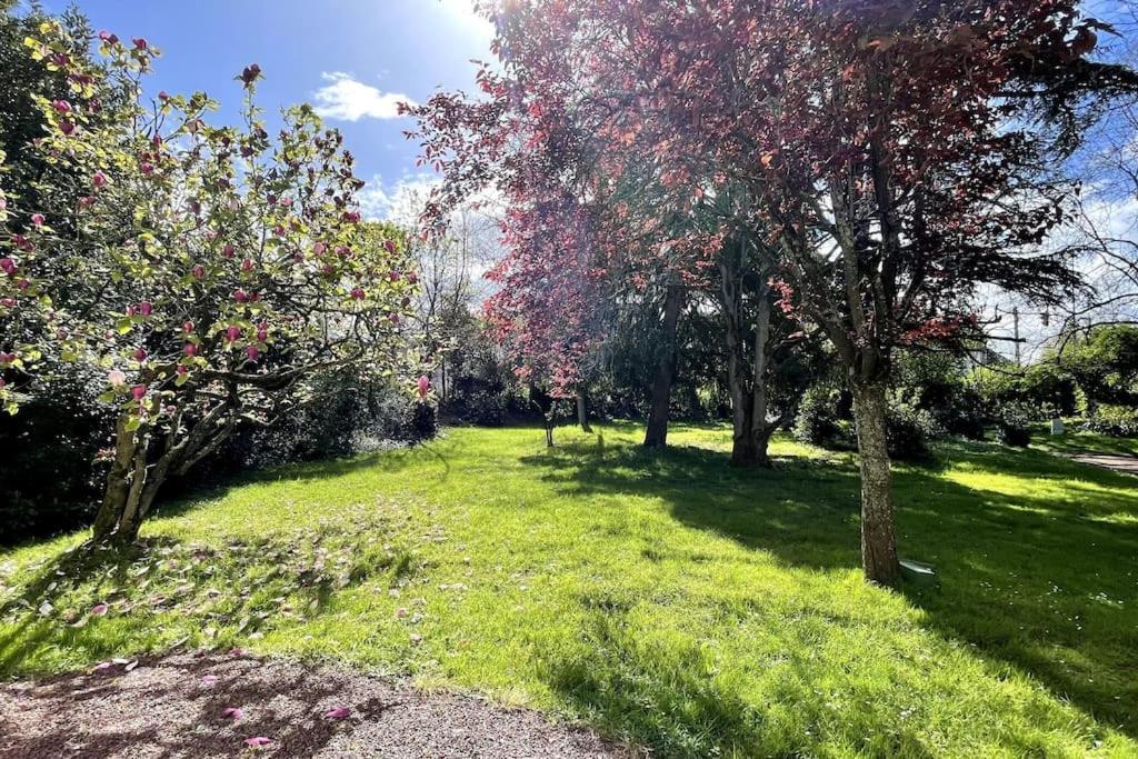 Apartment Le Manoir Mermoz : T2 Equipe